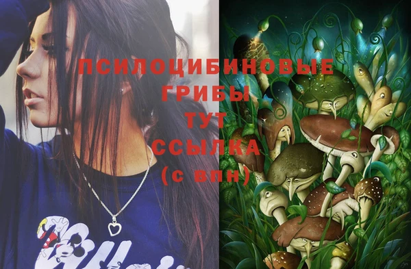 шишки Валуйки