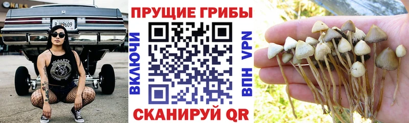 Галлюциногенные грибы GOLDEN TEACHER Сердобск