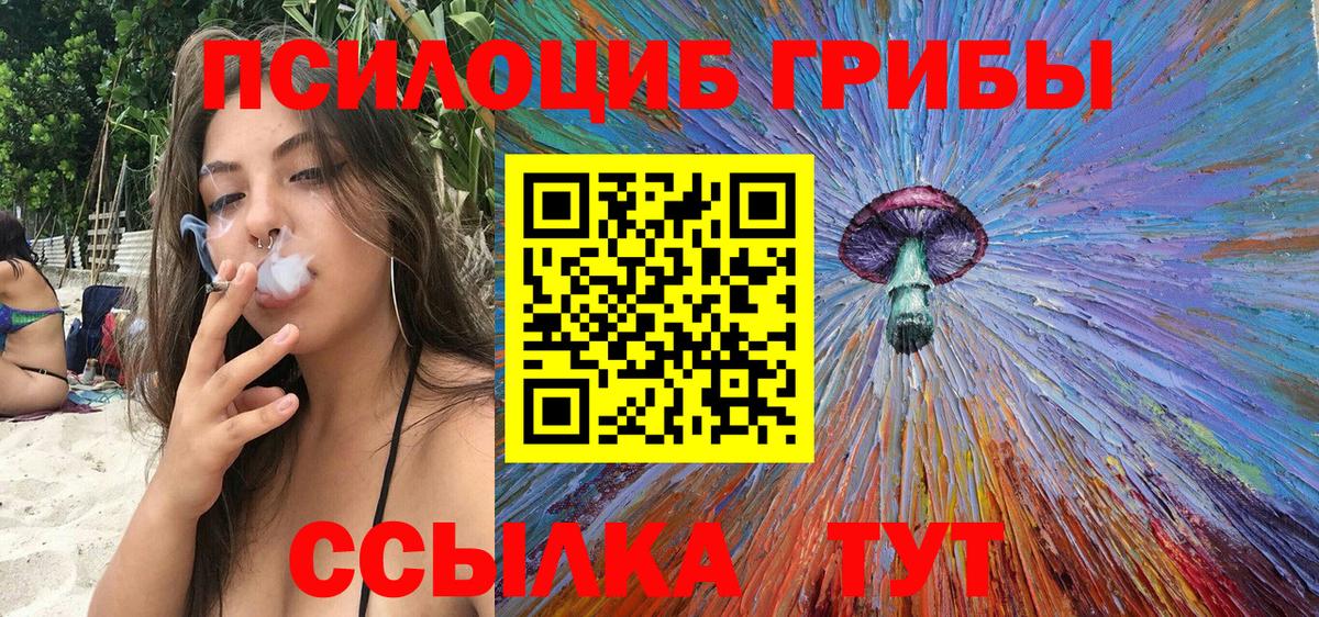 Галлюциногенные грибы GOLDEN TEACHER  купить наркоту  Сердобск  Псилоцибиновые грибы прущие грибы 