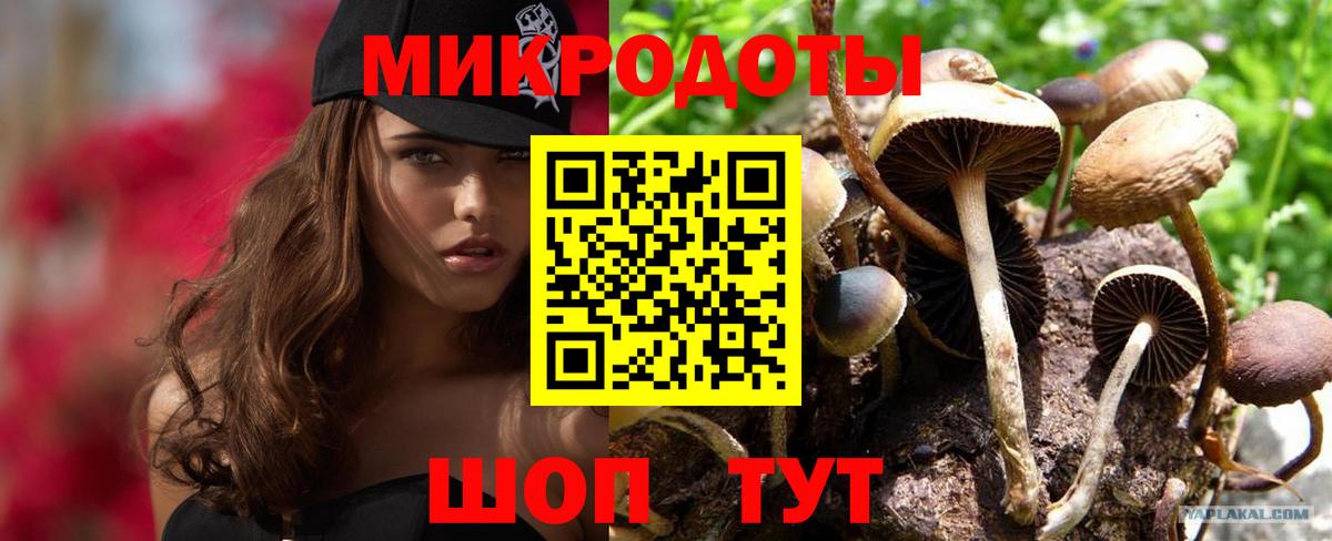 Сердобск  хочу наркоту  Вход с VPN  Галлюциногенные грибы MAGIC MUSHROOMS 