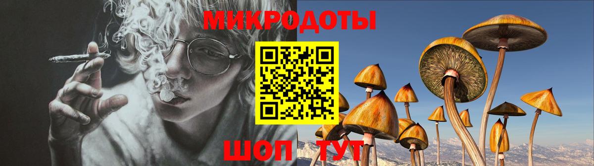 Галлюциногенные грибы Psilocybe Сердобск